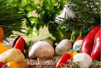 我國初級生鮮農產品供應鏈的基本模式探討