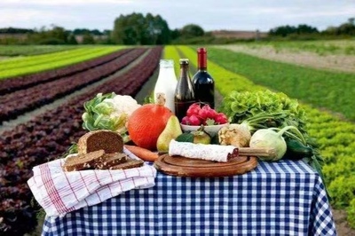 初級農產品的定義與食品經營許可證要求解析