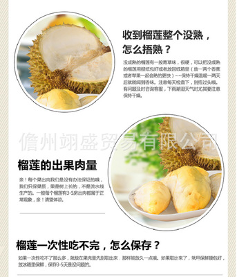 海南與泰國榴蓮 品質、品種與選購指南