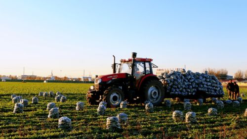 初級農產品補貼力度加碼，鄉村振興迎來新動能