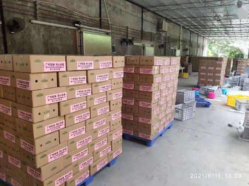 加油！廉江近萬(wàn)箱愛心農(nóng)產(chǎn)品馳援抗疫一線