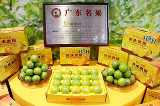 廣東四地入選第三批中國(guó)特色農(nóng)產(chǎn)品優(yōu)勢(shì)區(qū)公示名單，初級(jí)農(nóng)產(chǎn)品展現(xiàn)嶺南特色